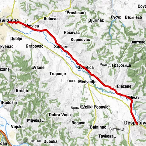 ST409 Svilajnac - Despotovac