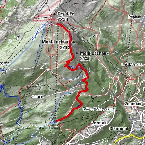 Carte