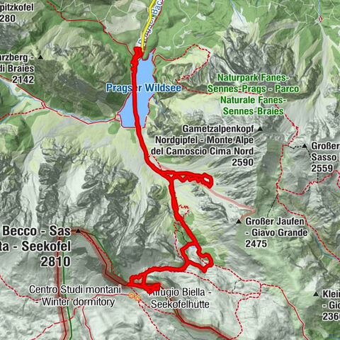 Carte