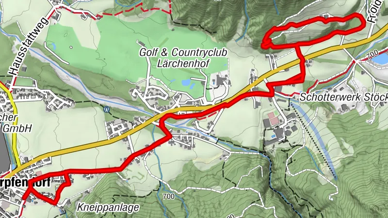 Erpfendorf: Hundsbichl Alm COPY