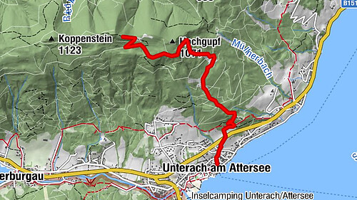 Carte