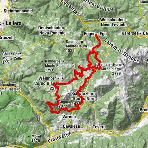 Carte