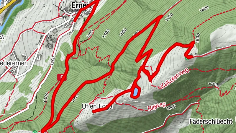 Ernen Alp Frid, Wallis/Schweiz