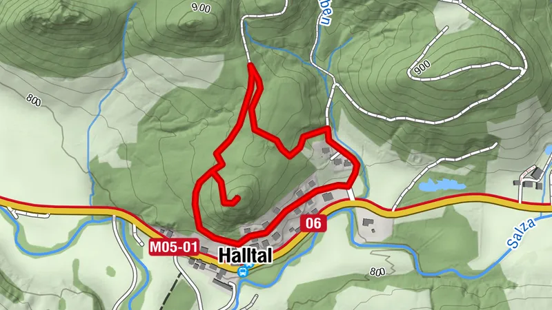 MARIAZELL KG Halltal Holzkapelle am Waldgipfel und zurück 20260808
