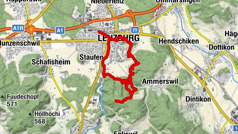 Schloss Lenzburg, Gofi und Fünfweiher