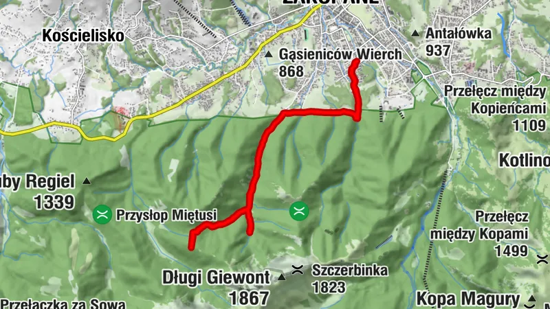 Zakopane-Grzybowiecz