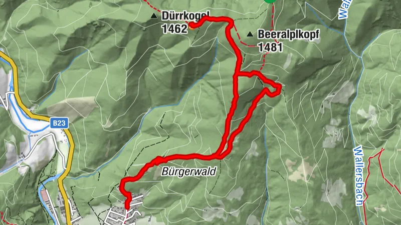 Auf die Große Scheibe - Rauf ARG STEIL, runter knieschonend (Bezirk Bruck-Mürzzuschlag, Steiermark/Österreich)