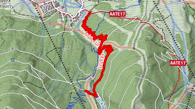 Marco Schwarz Trails | UNIQA Trail