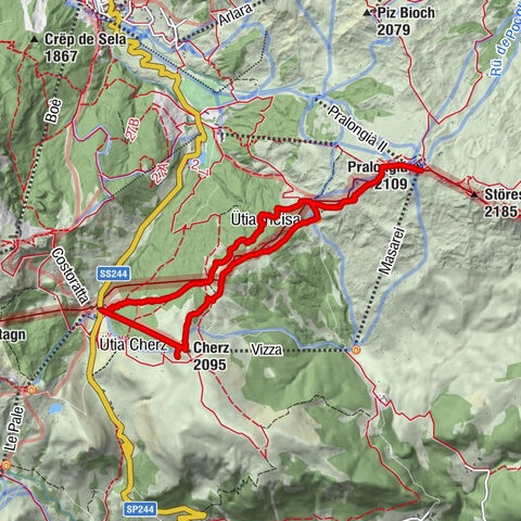 Carte