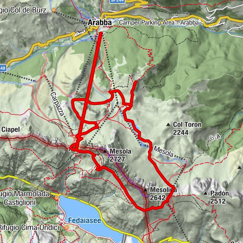 Carte