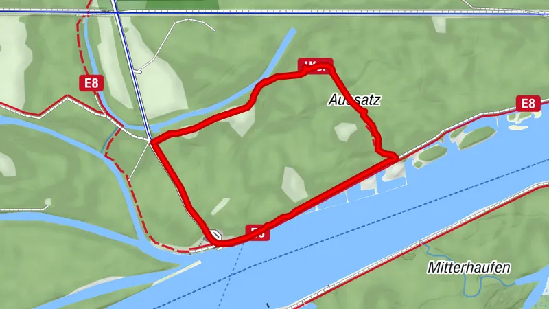 Runde im Auwald