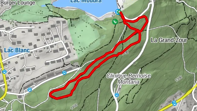 Parcoursvita de la  Moubra