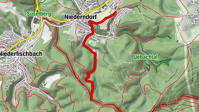 F8 - Grubenweg Niederndorf