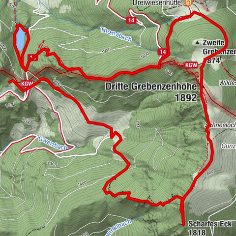 Carte