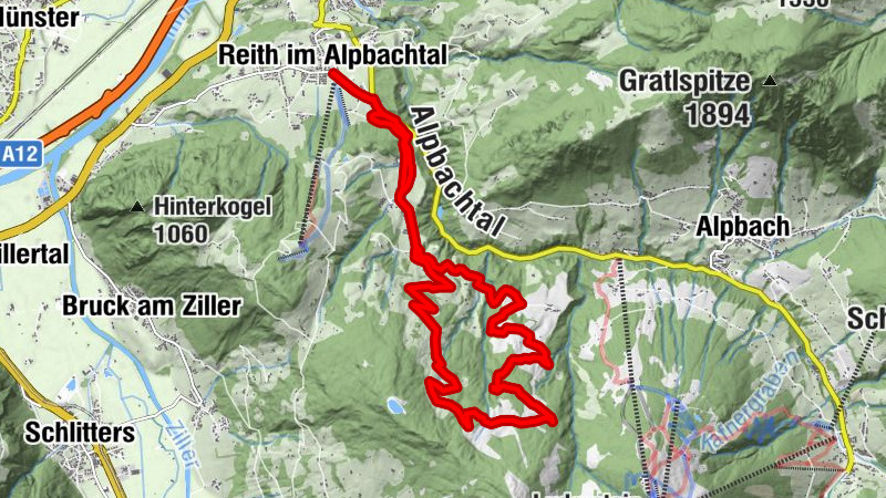 Carte