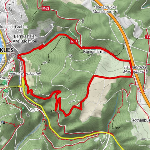 Moselsteig Seitensprung Bernkasteler Bärensteig