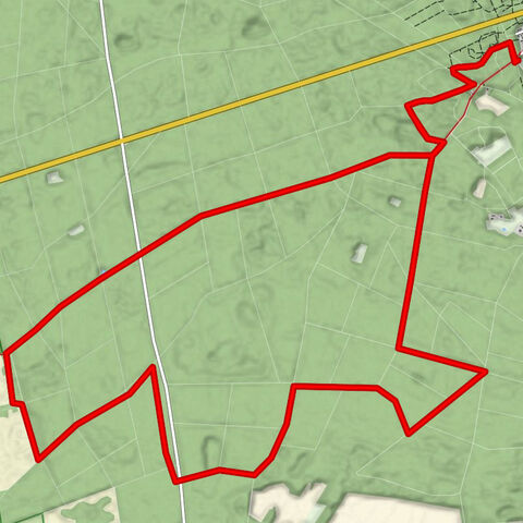 À travers les pins de Gartow jusqu'à la Nemitzer Heide