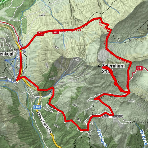 Carte