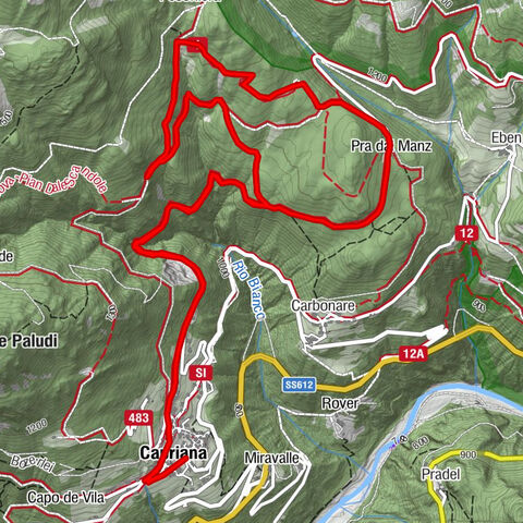 Carte