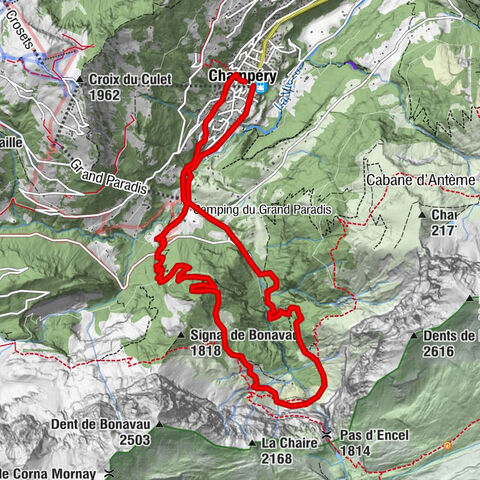 Carte