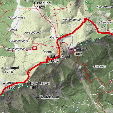 Carte