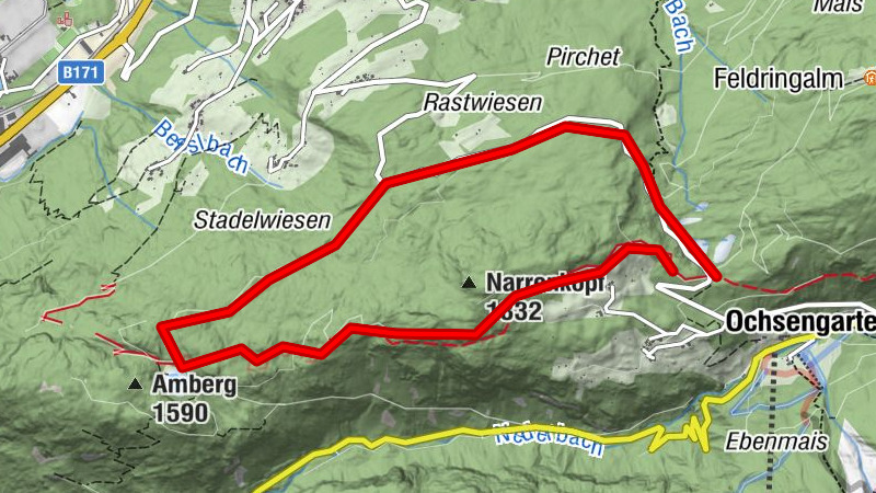 Naturwanderung Ambergersee (Brandsee)