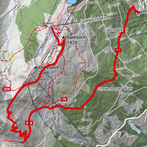 Carte