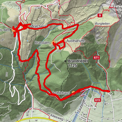 Carte