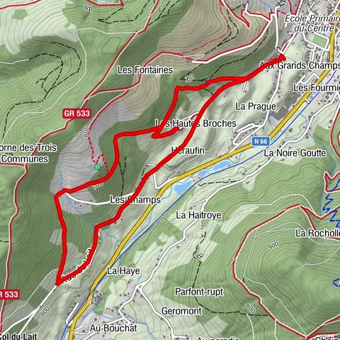 Carte