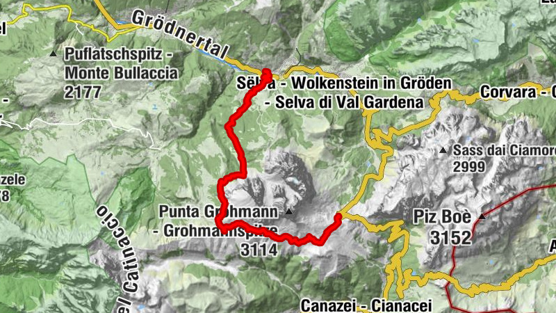 Carte