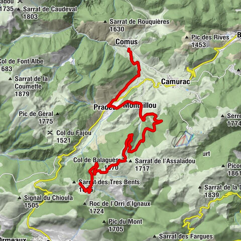 Carte