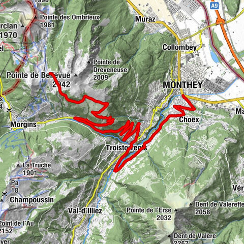 Carte