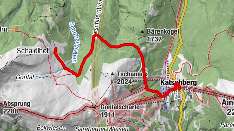 Carte