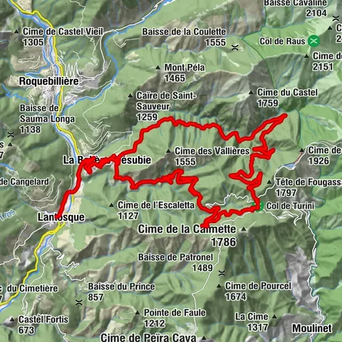 Carte