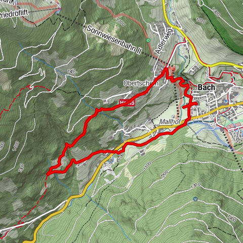Carte