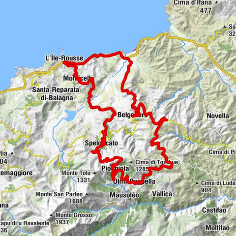 Carte