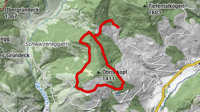 Autour de l'Öbristköpfl / Wagrainer Alm (55,453)