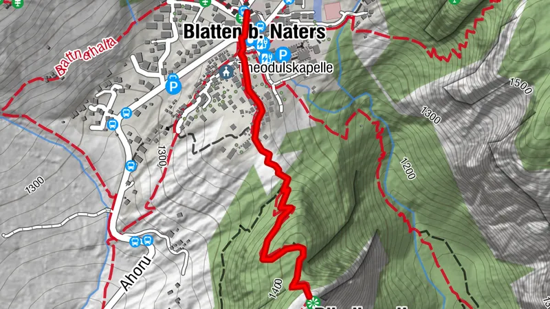 POINT DE VUE BLATTEN