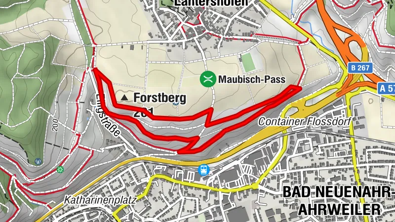 Chemin de la vigne n° 2 - Une courte randonnée autour du Forstberg