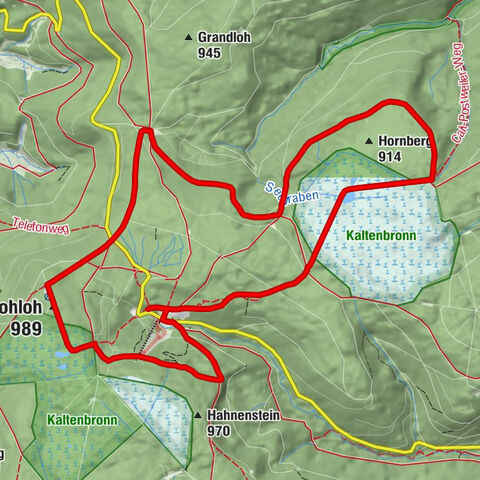 Nature experience tour Kaltenbronn